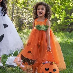 Pottery Barn light up pumpkin tutu toddler costume 3T